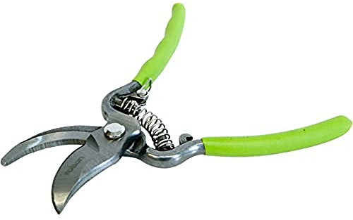 Rolson 82122 200 mm Secateurs
