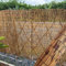 Canisse en Roseau Naturel,Rouleaux de clôture en Roseau 0.5m 0.6m 1m 1.2m 1.5m 1.7m Hauteur Brise Vue en Roseau Naturel pour Exterieur,Clôture de Jardin d'intimité pour Extérieur