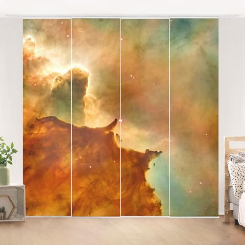 micasia Schiebegardine halbtransparent 60er Paneel Klett Natur Textil lichtdurchlässig - Motiv Modern Flächenvorhang braun Wohnzimmer Schlafzimmer 2434 (240x250 cm - 4er Set)