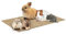 La cordeline 2 Stück Katzenstreumatte, Hanf, Natur, 25 x 40 cm, 1000 g/m², Käfigboden für Nagetiere, Kaninchen, Hamster usw