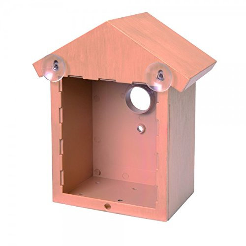 Home and Co Vogelhaus Observoiseaux für Fenster, Boden klar getönt