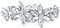 EVER FAITH Damen Blume Haarspange Österreichische Kristall Braut Elegante 4 Daisy Haarschmuck Klar Silber-Ton