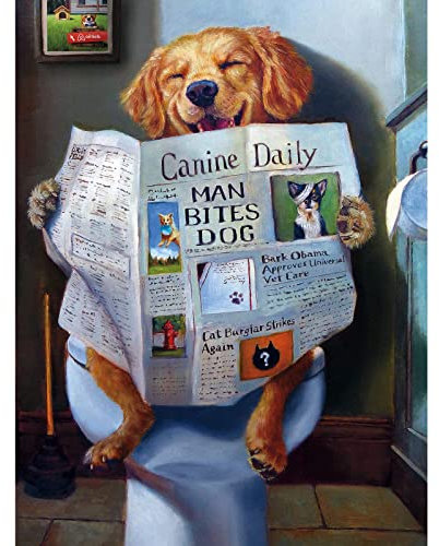 AIRDEA DIY Hund Diamond Painting Set Erwachsene, Tier Diamant Painting Bilder 5D Hundelesebuch Diamant-Kunst Kits Kinder Diamant Malerei Set Kreuzstich Malen Nach Zahlen Kits Heimdekor 30x40cm