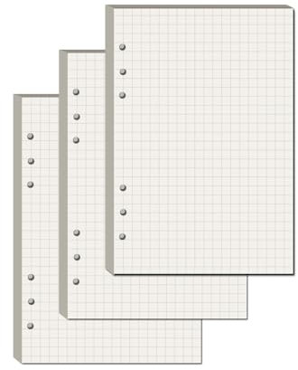YFLeomry 3 Packungen A5 Papier Kariert 180 Blätter Ringbuch A5 Nachfüllbar 6 Lochung Ringbuch Notizbuch Nachfüllpapier Nachfüllbare für Notizbuch Tagbuch(21x14,5 cm)