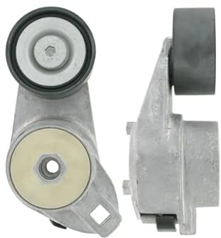 SKF VKMCV 54005 Timing Belts