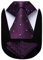 HISDERN Extra long Verifier Cravate Mouchoir Pour des hommes Cravate & Carre de poche Set Violet/blanc