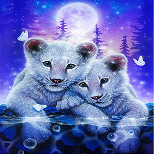 Puzzle 3000 Teile für Erwachsene,Zwei Löwen Puzzles Geschicklichkeitsspiel für die Ganze Familie, Landschaf Puzzle Schwer Dekompressionder Erwachsenenpuzzle ab 14 Jahren-48.03x31.88 Zoll (122 x 81cm)