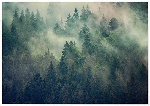 Panorama Leinwandbild Misty Forest Poster 100 x 70 cm - Gedruckt auf Leinwand - Nature Wanbilder - Dekoration Wohnzimmer