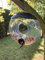 Oakdale Donut Seed Bird Feeder