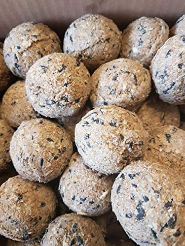 Meisenknödel ohne Netz 100 St. im Karton