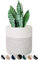 Oradrem Pflanzkorb aus gewebtem Baumwollseil, für Blumentopf, Boden, Innenbereich, Dekorkorb für Pflanzen, Aufbewahrung, Organizer, Moderne Heimdekoration (30,5 x 30,5 cm, weiß)