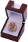 NVeeus Alle Vorherigen-Champion-Ring-Replik, Für Fans, Freunde Und Familie, Geschenk Zur Geburtstagskollektion,T Display-Box/2019 Chiefs
