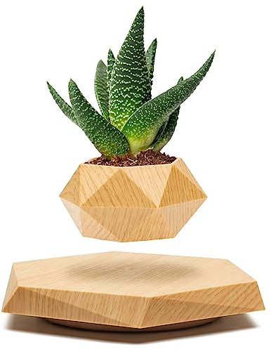 BandDlevs Schwebender Blumentopf - Schwimmender Blumentopf für kleine Pflanzen Schwebende Dekoration für Zuhause & Büro magnetisch schwebende schwebende Display (Holz)