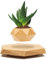 BandDlevs Pot de fleurs en lévitation – Pot de fleurs flottant pour petites plantes – Décoration en lévitation magnétique pour la maison et le bureau (bois)
