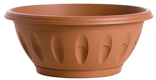 Bama Ciotole con piattino, 60 cm
