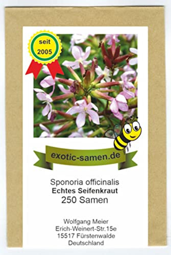 Saponaria officinalis - Seifenkraut - Bienenweide - Zier- u. Arzneipflanze - 250 Samen