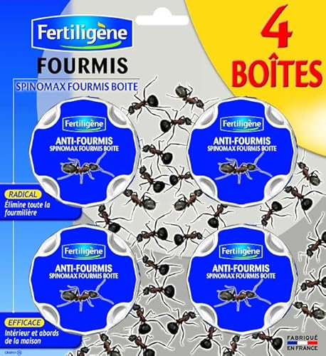 Fourmis BOÎTES APPÂTS 4x10G