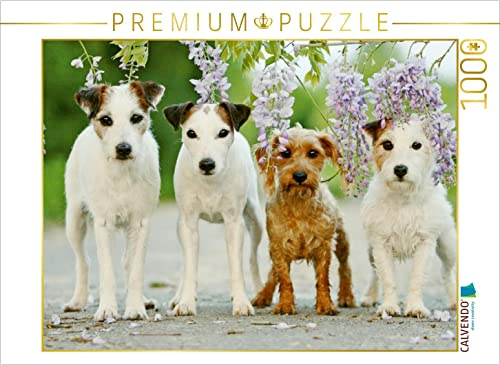 CALVENDO Puzzle Vier Freunde | 1000 Teile Lege-Größe 64 x 48 cm Foto-Puzzle für glückliche Stunden