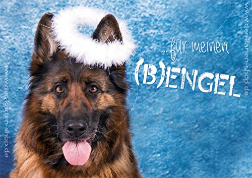 3 Stück Weihnachtskarten Doppelkarte mit Kuvert Karte nicht nur zu Weihnachten Weihnachtskarte Hund Schäferhund Für meinen (B)engel!