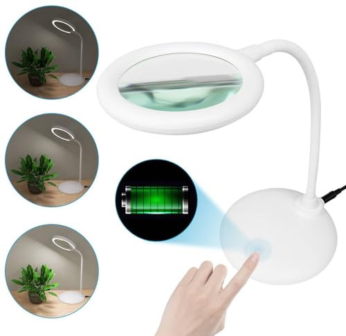 Raweao 5X Lupe mit Licht und Ständer, Wiederaufladbare Lupenbrille mit Licht, Lupenleuchte mit 3 Farbmodi Dimmbare, Leselupe mit Licht für senioren Lesen, Nähen, Schmuck, Basteln, Hobby(Weiß)