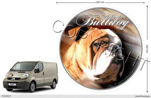 Pets-easy Circular Aufkleber Hund 20 cm English Bulldog