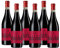 Barbera d'Asti DOCGEvolution - Vini Berta 1842 - Vino Rosso - Nizza Monferrato (AT)