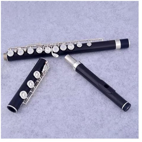 Querflöte Instrument 17 Tasten, Offenes Loch, Ebenholzflöte, Versilberte Tonart, E-Taste, Flöteninstrumente Mit Aufbewahrungsbox