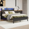 Diahomy Double Bed Frame with LED Lights/Charging Station,4ft6 Metal Platform Bed Frame with Storage Headboard/Mattress Foundation/Metal Slat Support/No Box Spring Needed,Under-bed Storage,Black Bed