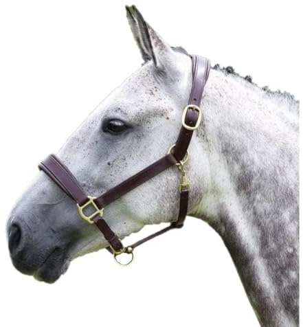 Shires Velociti GARA Blenheim Padded Leather Halter - Brass Havana/Cob