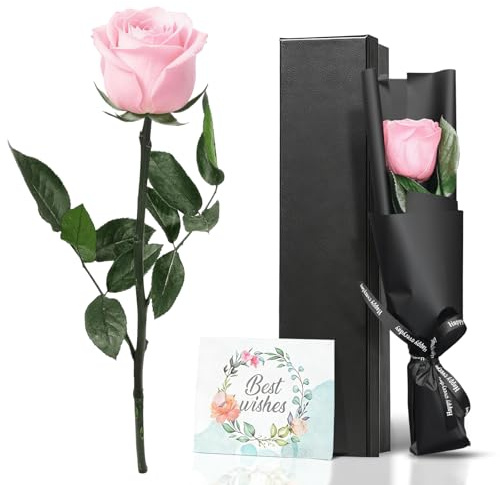 VOIDHUES Ewige Rose in Geschenkbox Echte konservierte Infinity Rose mit Stiel Rosen langlebiges Blumen-Geschenk für Frauen, Mama Geeignet für Geburtstage, Jubiläen und Valentinstag (Rosa)