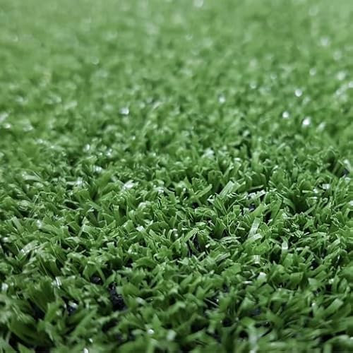 Mugar- Cesped Artificial 7 mm para terrazas y Jardines en Diferentes Medidas para Jardines, terrazas, Mascotas, terrarios, Stand (Rollo 1x1m)