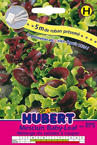 Ruban Présemé de Graines de Mesclun Baby Leaf avec Roquette | Utilisation Facile