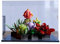 Boîte de présentation en acrylique pour modèle Lego 10309 Succulentes, organisateur transparent anti-poussière (boîte uniquement) (ensemble Lego non inclus) (3 mm)