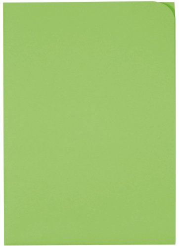 Elco 29466.62 Ordo Organisationsmappe Discreta, 220 x 310 mm, 120 g, intensiv-grün