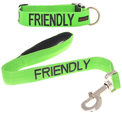 FRIENDLY (Known as Friendly to all) Green Colour Coded S-M L-XL Dog Collar and 60cm 1.2m 1.8m Luxury Neoprene Padded Handle Lead Sets PREVENTS Accidents By Warning Others Of Your Dog In Advance (L-XL & 60cm)