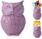 Comfify Support à Ustensile Hibou Cruche Décorative - Violet
