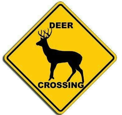 Sticker-Designs 10cm! Klebe-Folie Wetterfest Made-IN-Germany Reentier Elch Deer Crossing UV&Waschanlagenfest Auto-Aufkleber Profi-Qualität! F3058