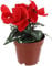 TOPBATHY Künstliche Pflanze Home Decor Bonsai Realistische Simulierte Keine Tägliche Pflege Anlass