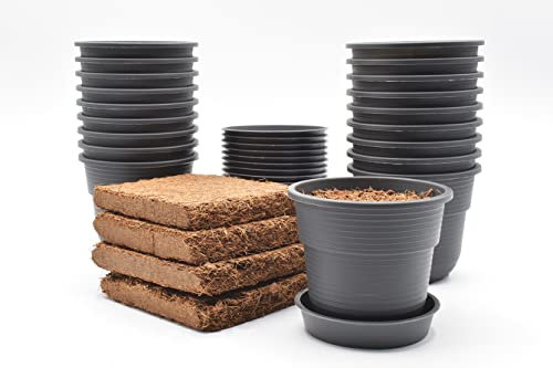 Plastard 20 Stück Anzuchttöpfe mit Kokoserde Pflanztopf Ø 8 cm Durchmesser mit Untersetzer aus robusten Kunststoff und witterungsbeständigen Material, runde Saattöpfe