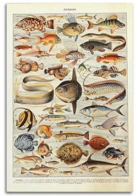 HUANA Vintage-Poster, Motiv: tropische Fische, dekoratives Gemälde, Leinwand, Wandposter und Kunstdruck, modernes Familienschlafzimmer, Dekoration, Poster, 30 x 45 cm