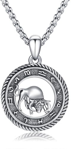 PARYFO Sternzeichen Stier Halskette 925 Sterling Silber Stier Anhänger Sternzeichen Halskette Astrologie Horoskop Anhänger Schmuck Geschenke für Männer Frauen Unisex
