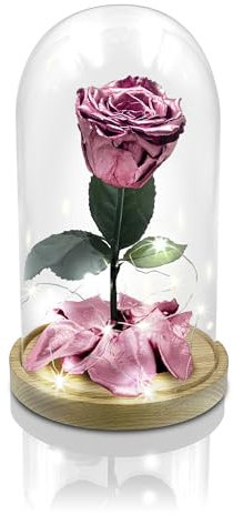 Aluisi Fiori - Rosa La Bella e La Bestia Oro Rosa - Campana di Vetro - Base in Legno Naturale - con LED