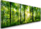 Feeby Bilder Wald Bäume XXL 150x50 cm 1 Teilig Wohnzimmer Schlafzimmer Büro Flur Küche Wandbilder Modern Bild auf Leinwand Wanddekoration Kunstdruck Design Sonne Natur Grün