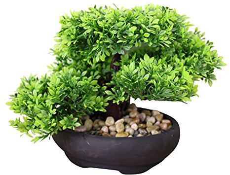 Árbol de bonsái sintético oriental en estilo boj