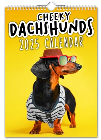 The Calendar King - Freche Dackel - Wandkalender 2025 (A4) // Weihnachten/Hund/Geburtstag/Geschenkidee/Geschenk/Neuheit/Wichteln/Jahresplaner/Bürogeschenk