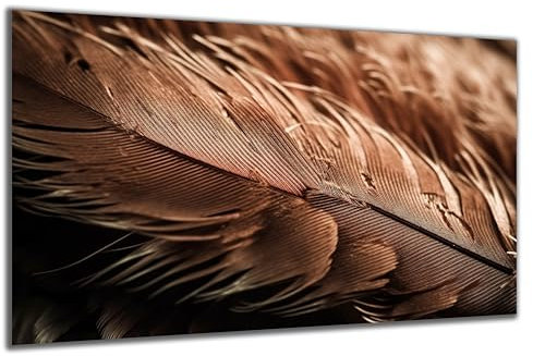 DARO Design - Wand-Bild auf 6mm HDF 70x50 cm Feder - Wand-Deko Bilder Geschenk
