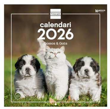 Finocam - Wandkalender 2026, 30 x 30 cm, Monatsansicht Januar - Dezember 2026 + Sep. - Dez. 2025 (4 Monate) reduziert, Kalender 2026, Bilder Hunde und Katzen - Katalanisch