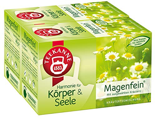 Teekanne Magenfein Kräuterteemischung 20 Beutel, 2er Pack (2 x 40 g Packung)