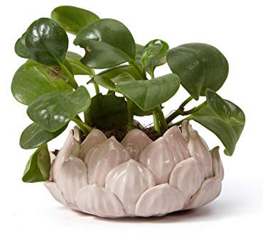 SEINHIJO Macetas de Cactus Planta Flores Suculenta Figura Decorativa Modern Escultura Regalo Interior Estatua Salon Arte Cerámica Decoración del Hogar 15cm