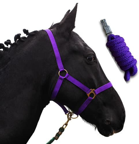 Halfter für Pferde mit Strick | Führstrick Pferd mit Halfter | Halfter Shetty, Pony, Vollblut, Full, X-Full mit Strick (Lila, Kaltblut)